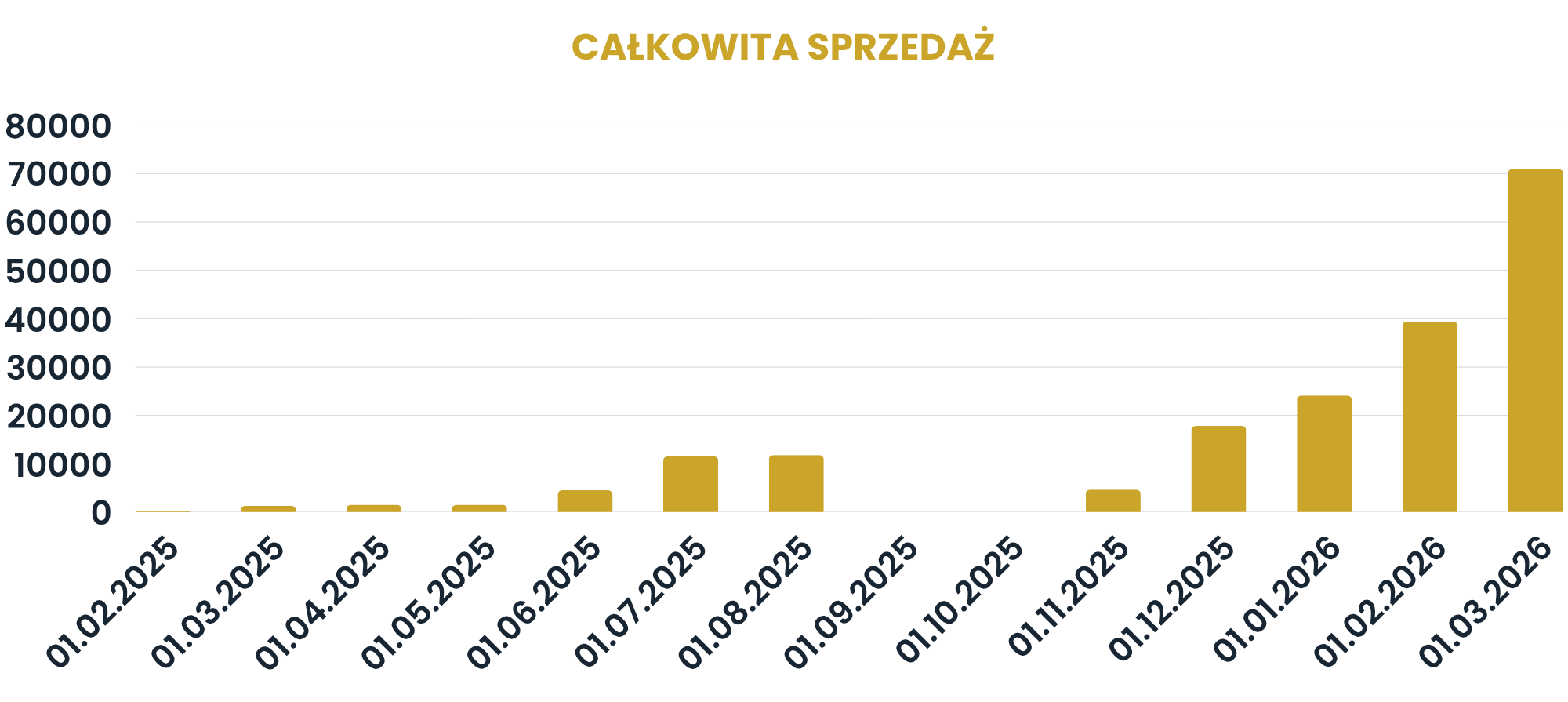 Rezultaty wprowadzonych działań